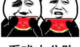 娱乐圈吃瓜的表情包是谁,娱乐圈吃瓜表情包背后的神秘制造者揭秘